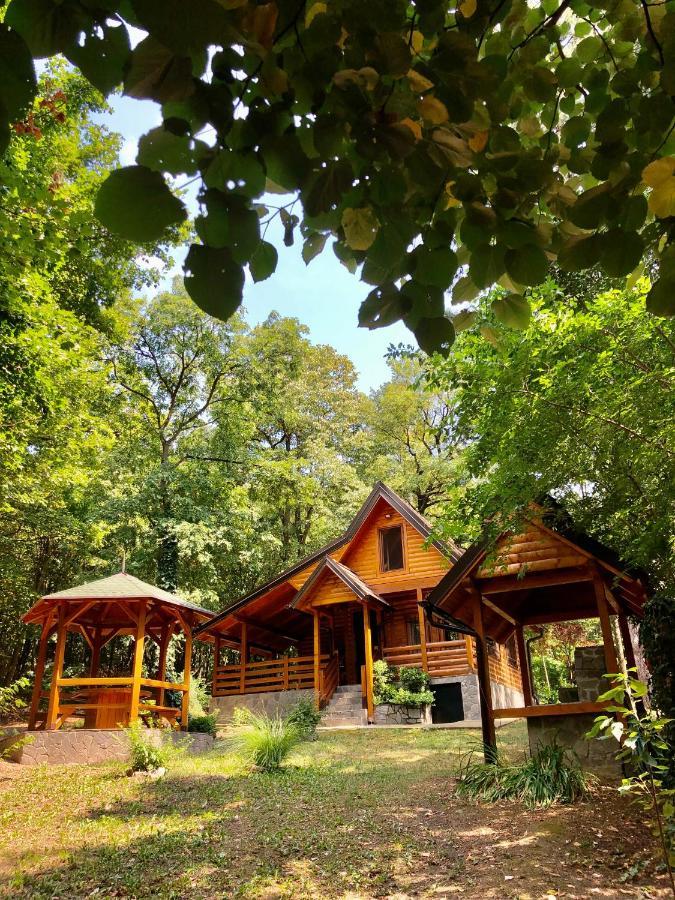Brvnara Vrsac Villa Exterior photo